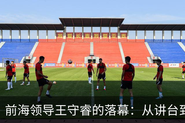 前海领导王守睿的落幕：从讲台到权力的蜕变
